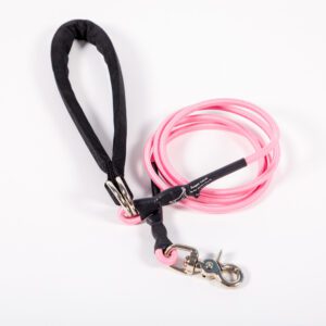 A Small Single Bungee Leash in Pink
