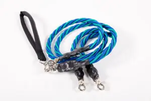 A Double Bungee Leash in Teal and Blue
