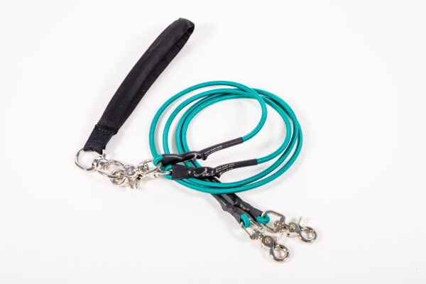 A Teal Color Double Bungee Leash One