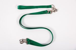 A Green Color Nylon Leash With a Buckle