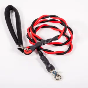 A Leash With Red and Black Leash