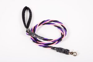 A Medium Single Bungee Leash in Pink and Blue