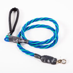 A Medium Single Bungee Leash in Green and Blue One